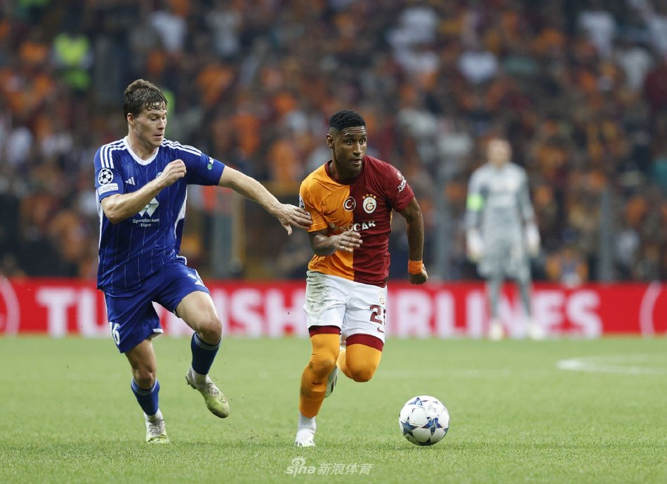 分别是各自 分别是各自